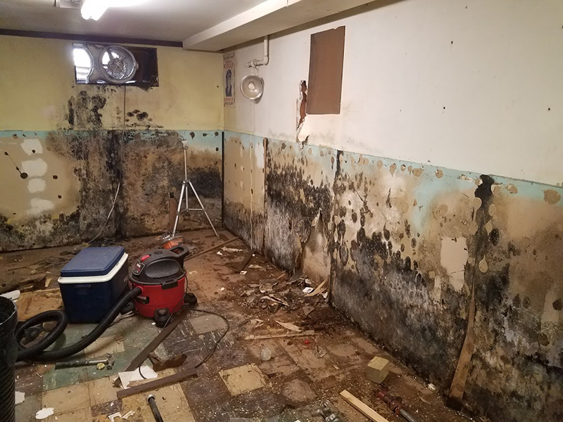 Black mold growth on sheetrock wall | Eco-Dry Waterproofing