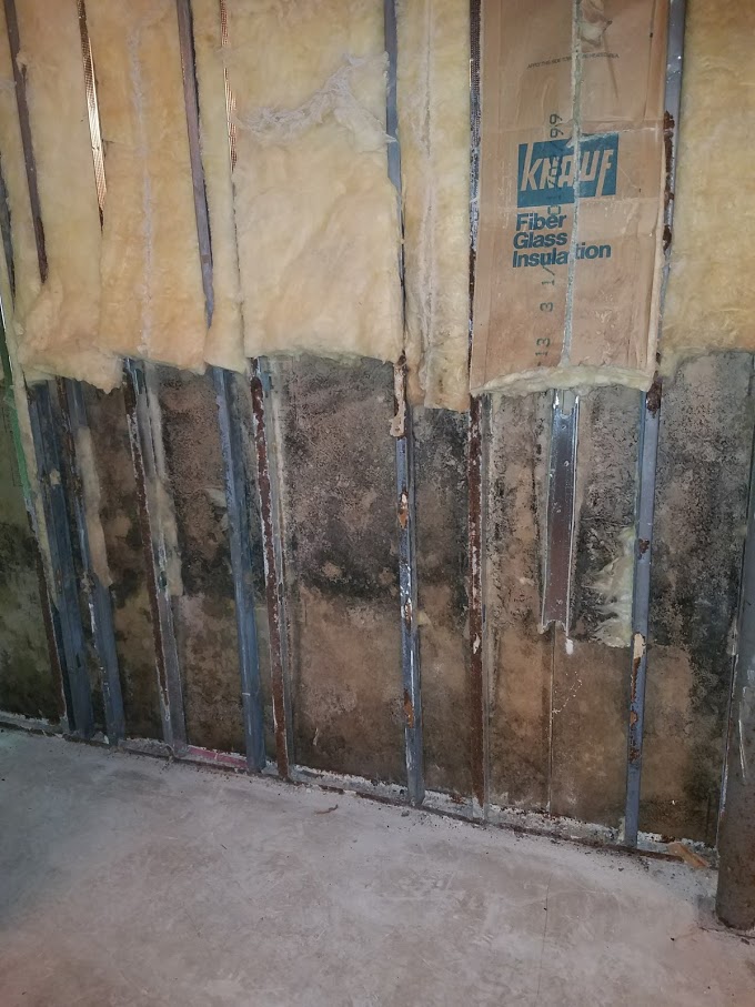 Mold damage inside wall- Northern, NJ- Eco- Dry Waterproofing