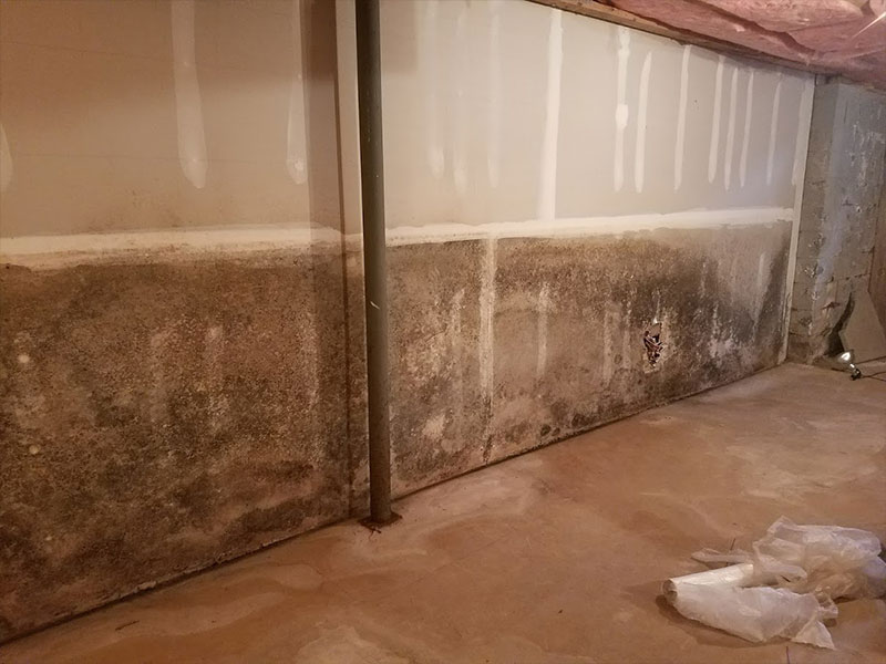 Drywall mold damage- Northern, NJ- Eco- Dry Waterproofing