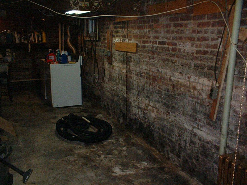 Mold damage on brick wall- Northern, NJ- Eco- Dry Waterproofing