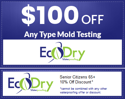$100 off Any Type Mold Testing
