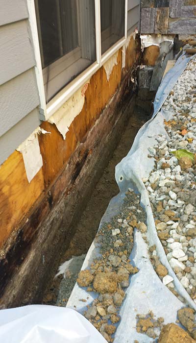 Closeup of rotted rim joist | Eco-Dry Waterproofing