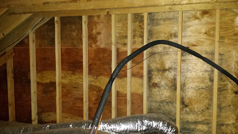 Black mold on gable wall of attic | Before