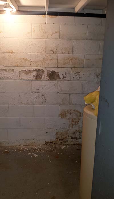 Peeling blistering paint, seepage through wall | Before