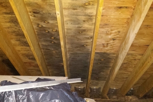 Black mold on ceiling of attic | Before